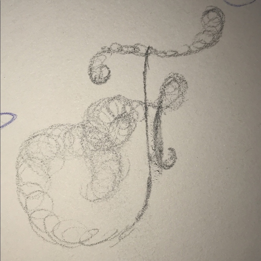 Meet your Posher, Jacob